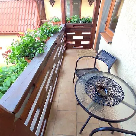 Pensiunea Rosu Litoral Inn *