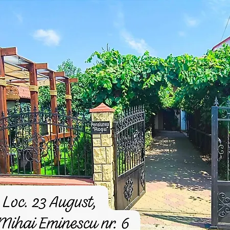 Pensiunea Rosu Litoral *